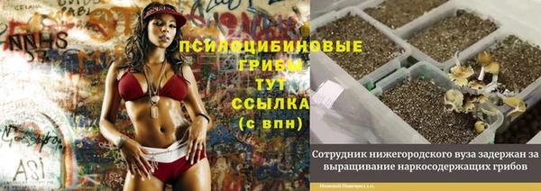 каннабис Богородицк