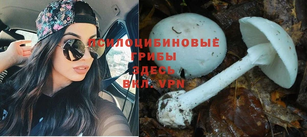 мет Белокуриха